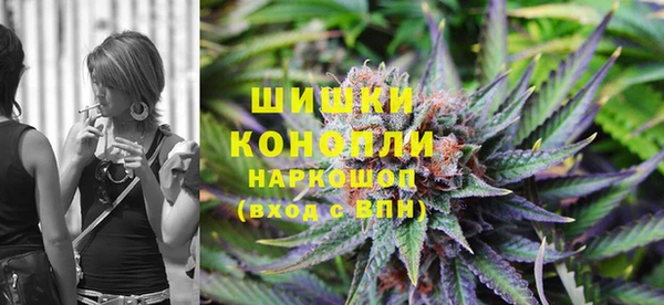 мдпв Кукмор