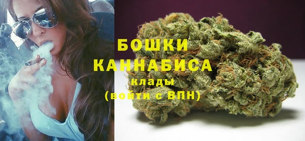 мдпв Кукмор