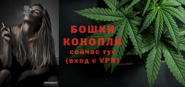 мдпв Кукмор