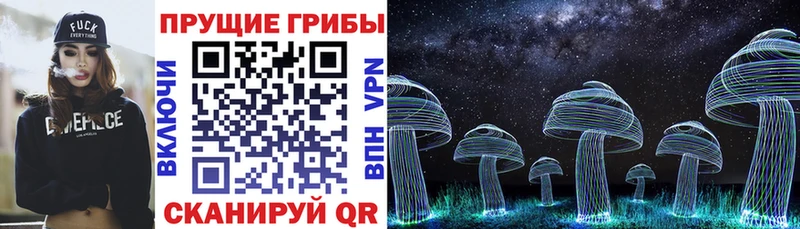 Псилоцибиновые грибы Psilocybe  как найти закладки  Одинцово 