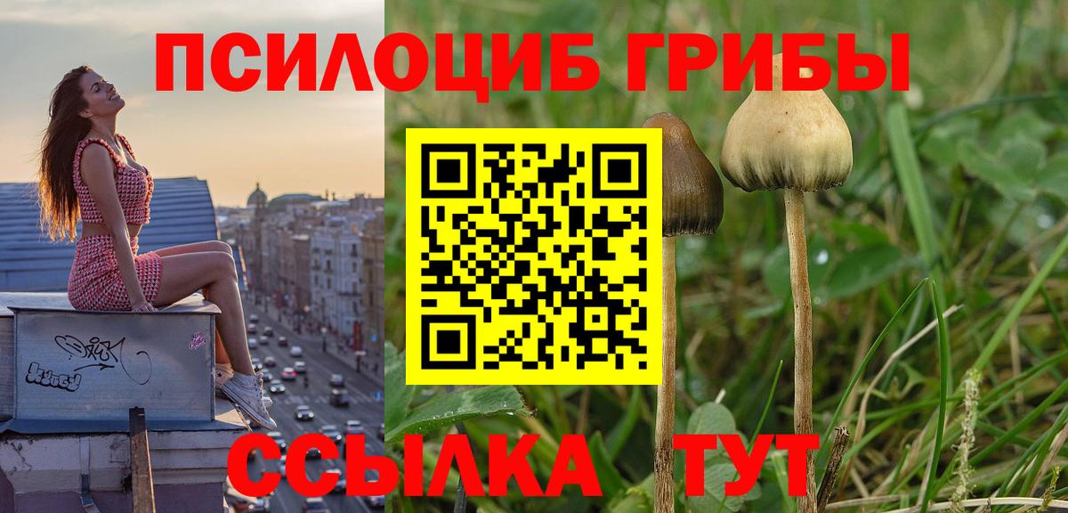 Галлюциногенные грибы Cubensis  как найти закладки  Одинцово  Вход с VPN 
